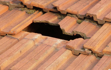 roof repair Woodacott Cross, Devon